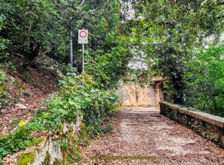 Way of St. Francis: Day Fifteen, Spoleto to Macenano - Eremo di San Girolamo Dottoro