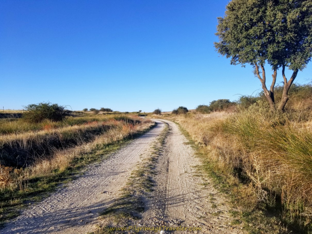 Climb Up From the Arroyo