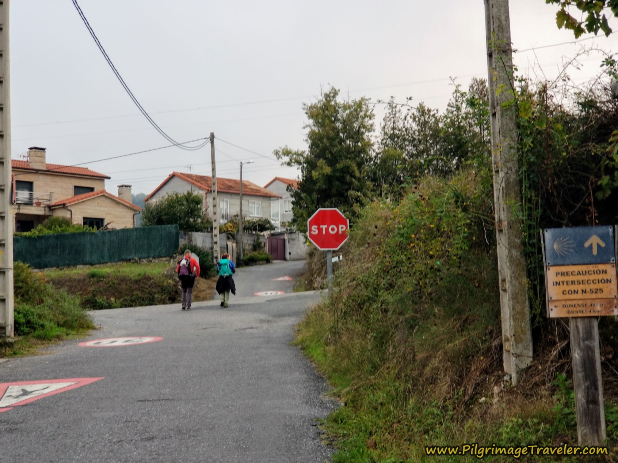 Next Cross the N-525, Camino Sanabrés, Ourense to Cea