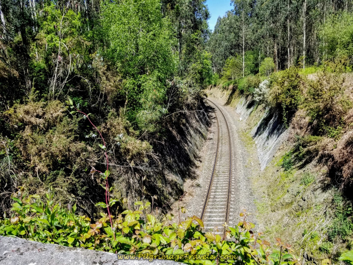 Cross Railroad Tracks on the Rúa Couto on Day Five of the Camino Inglés