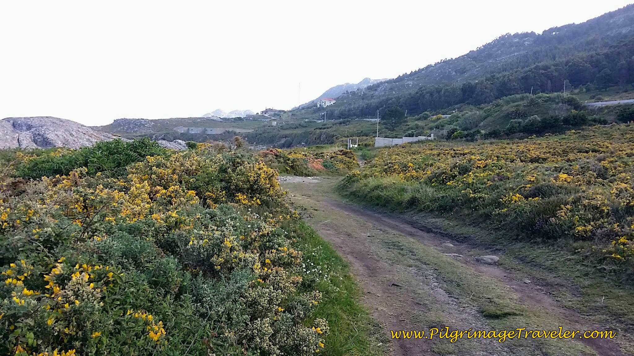 Dirt Lane After Windmill on day twenty, Camino Portugués Dirt Lane After Windmill on day twenty, Camino Portugués