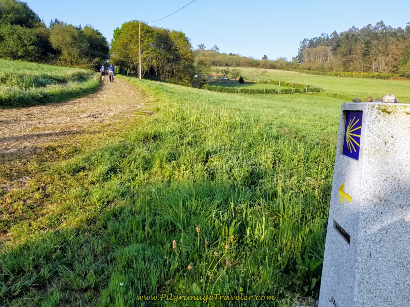 Turn South on Lane, Pass 13.96 Kilometer Waymark on day eight of the Camino Inglés
