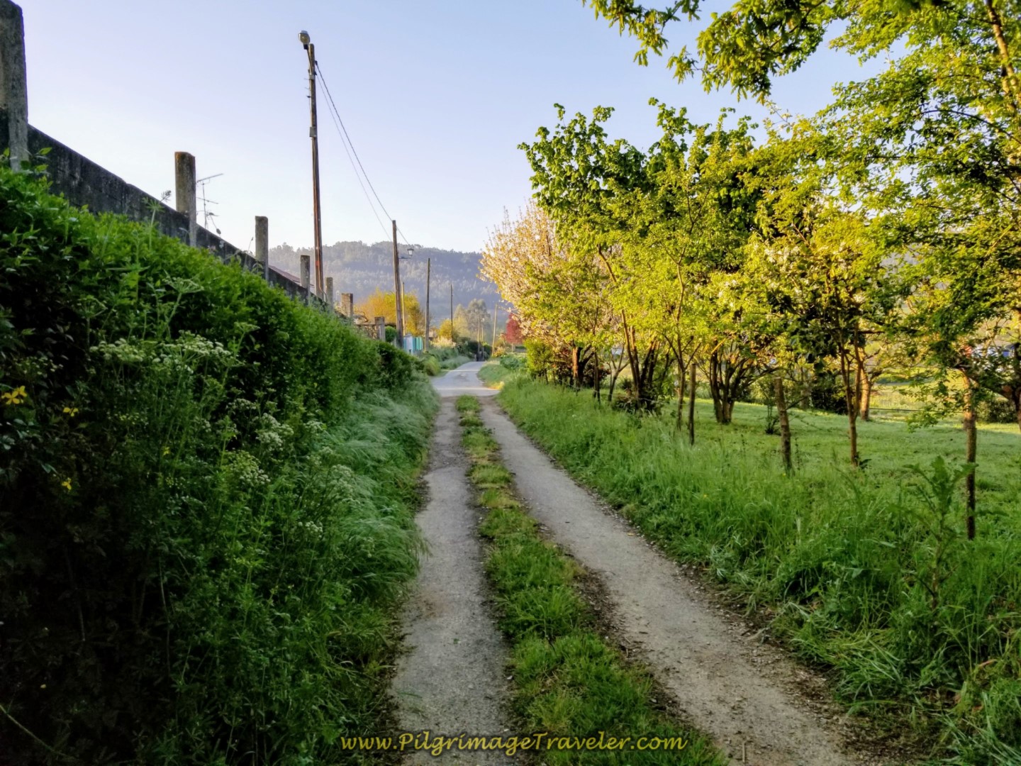 In 800 meters, the Lane Becomes Pavement Again on day two of the La Coruña Arm of the Camino Inglés