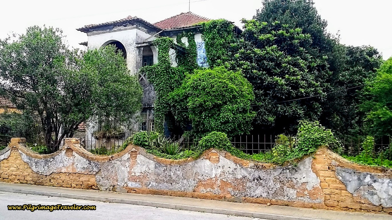 Overgrown Estate on the Rua de Abril