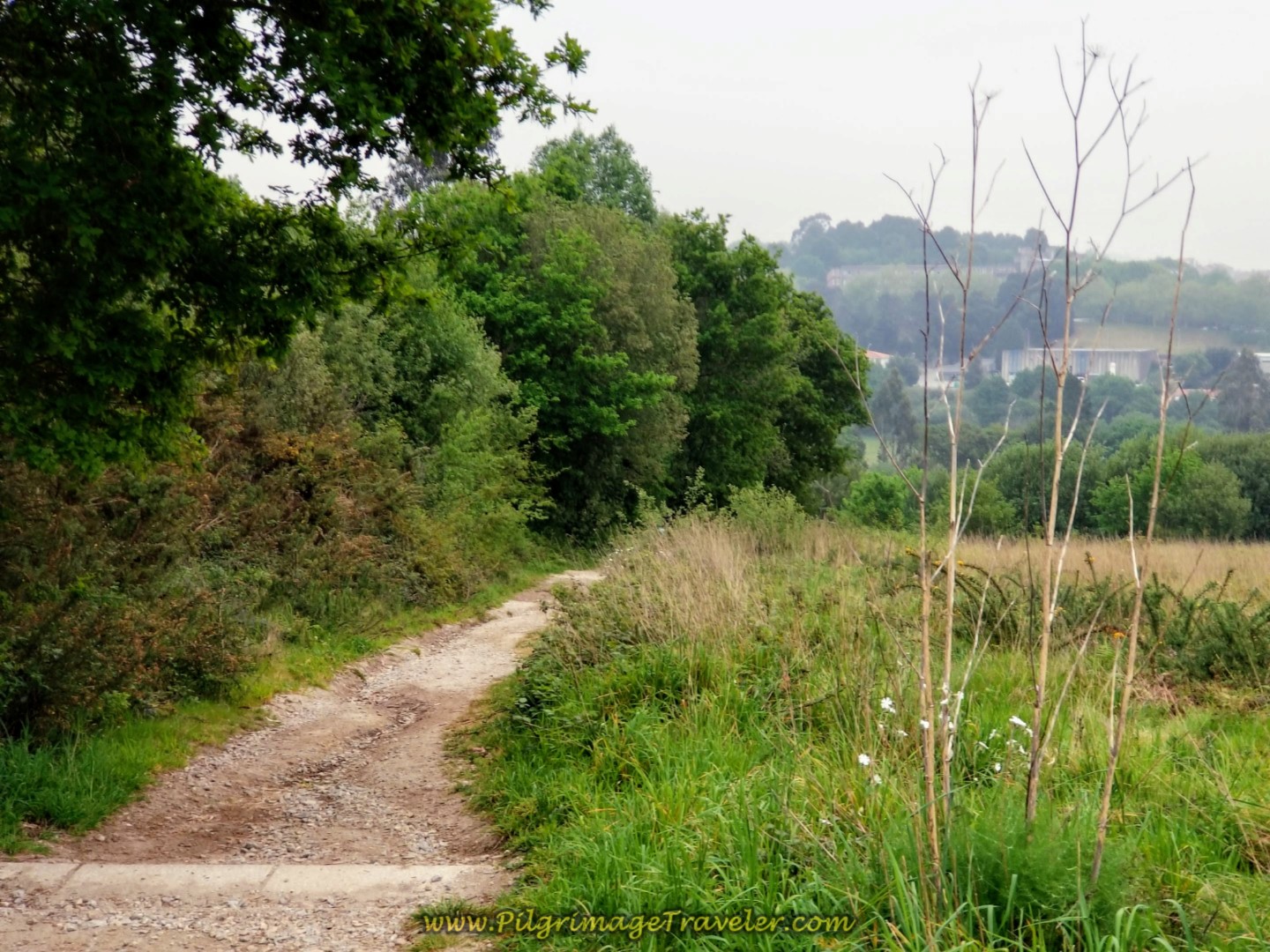 Path Climbs Up and Away From Sarela River Valley on day one of the Camino Finisterre