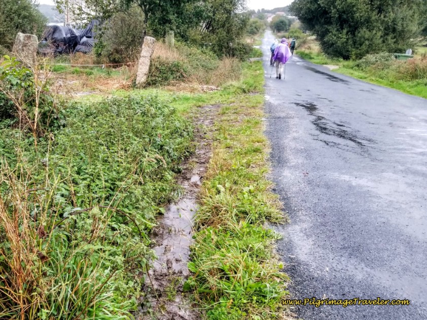 Right Turn Toward Open Fields