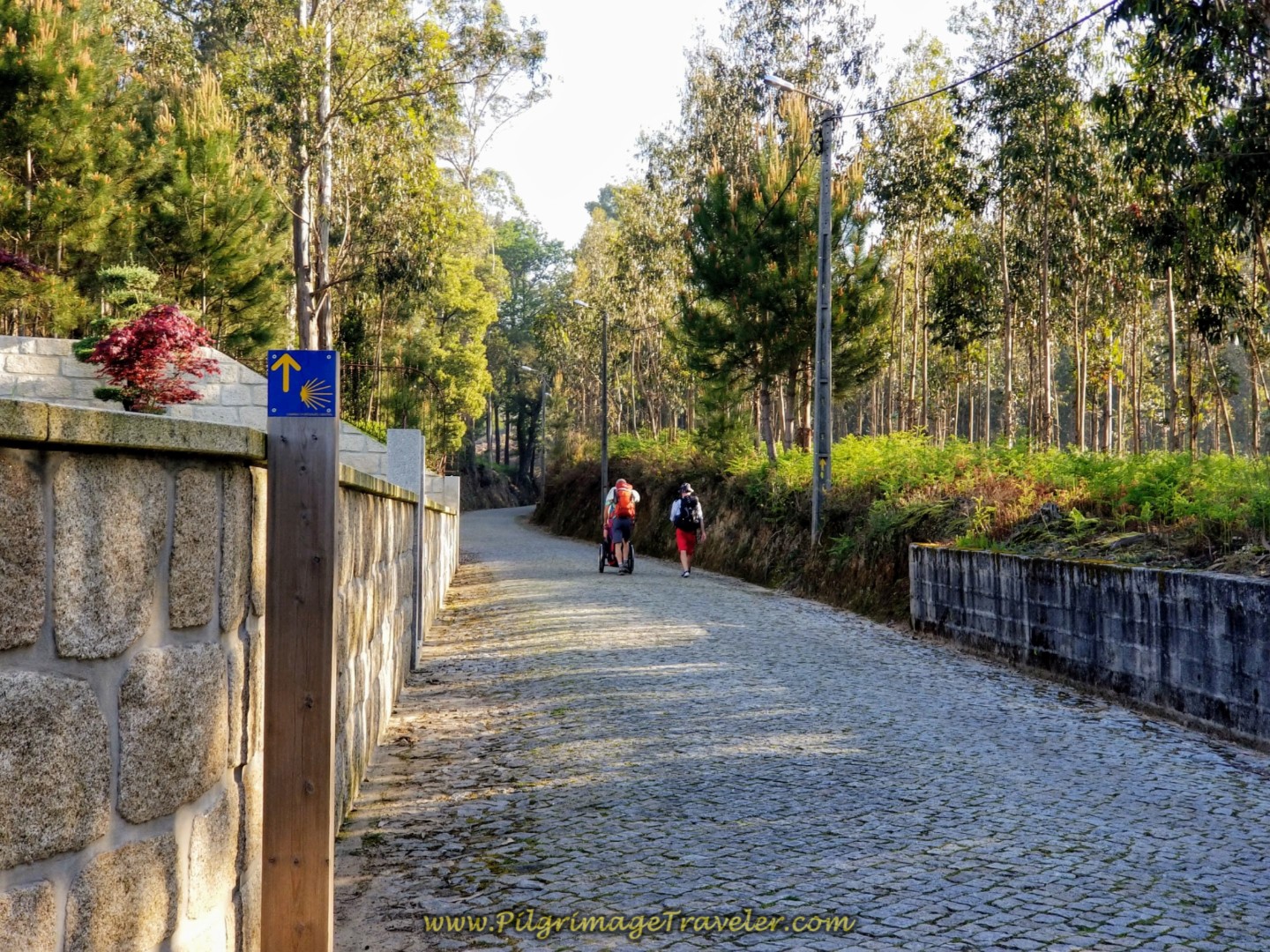 Elevation Eases But Still Up on Cobblestone