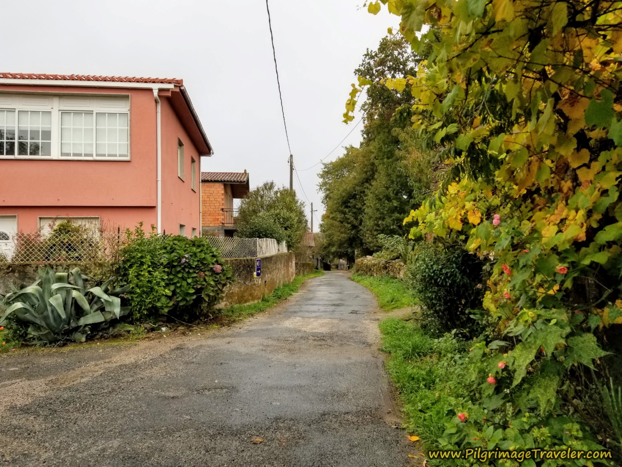 Skirt Around Donsión Skirt Around Donsión