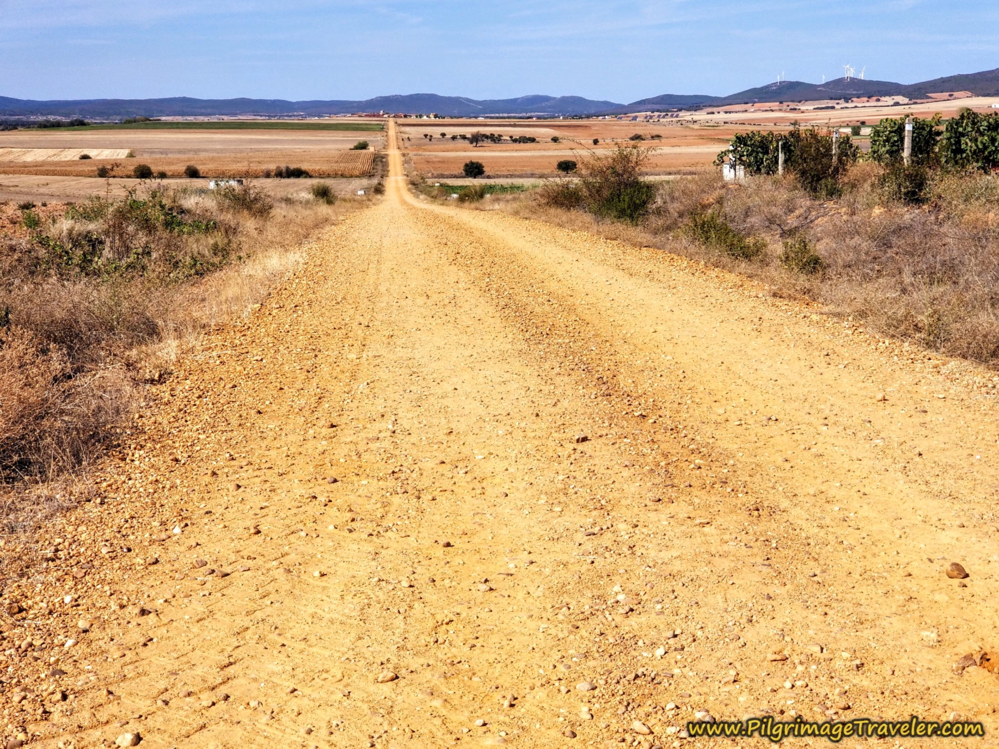 The Gravel Lane to Faramontanos de Tábara