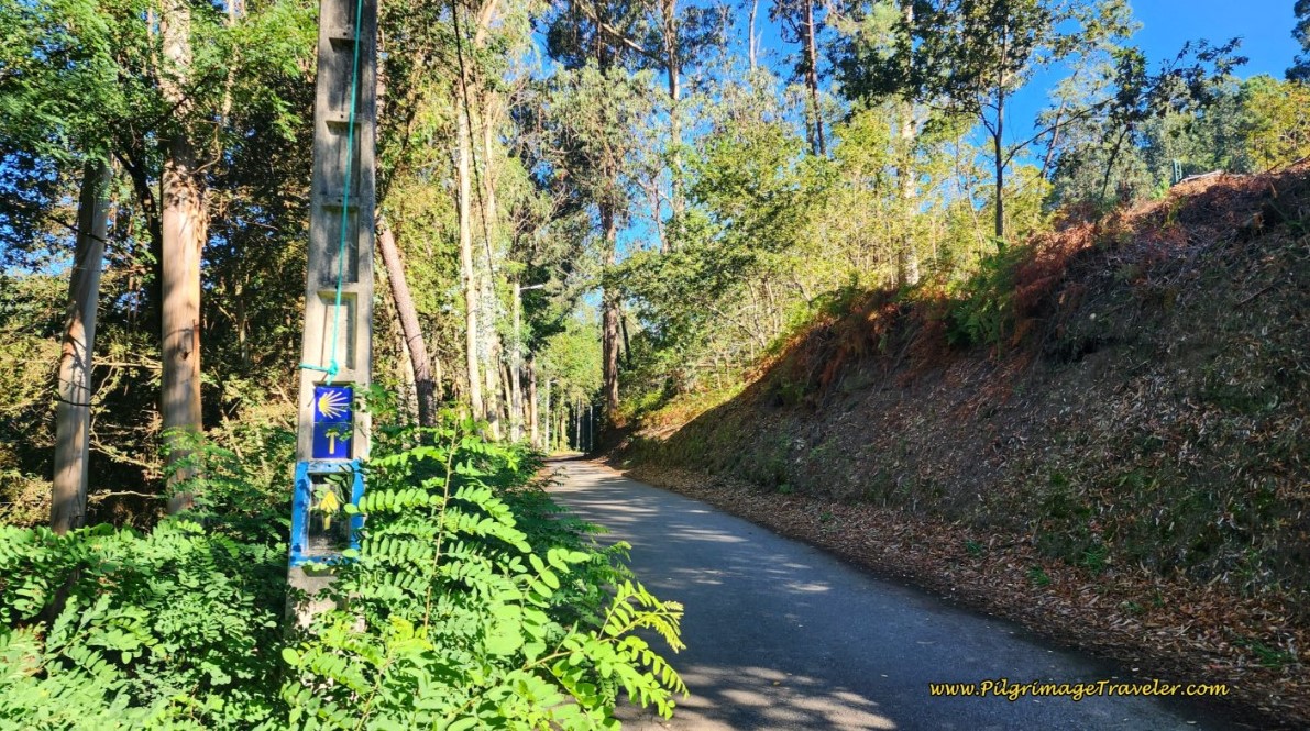 Quiet Paved Road After San Cayetano on day twenty-three, Camino Portugués Quiet Paved Road After San Cayetano
