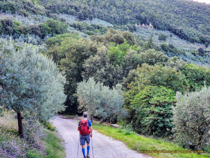 Ruined Buildings Above Way of St. Francis: Day Thirteen, Trevi to Poreta - Ruined Buildings Above