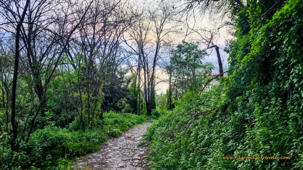 Valley Views from the Hilltop of Santarém