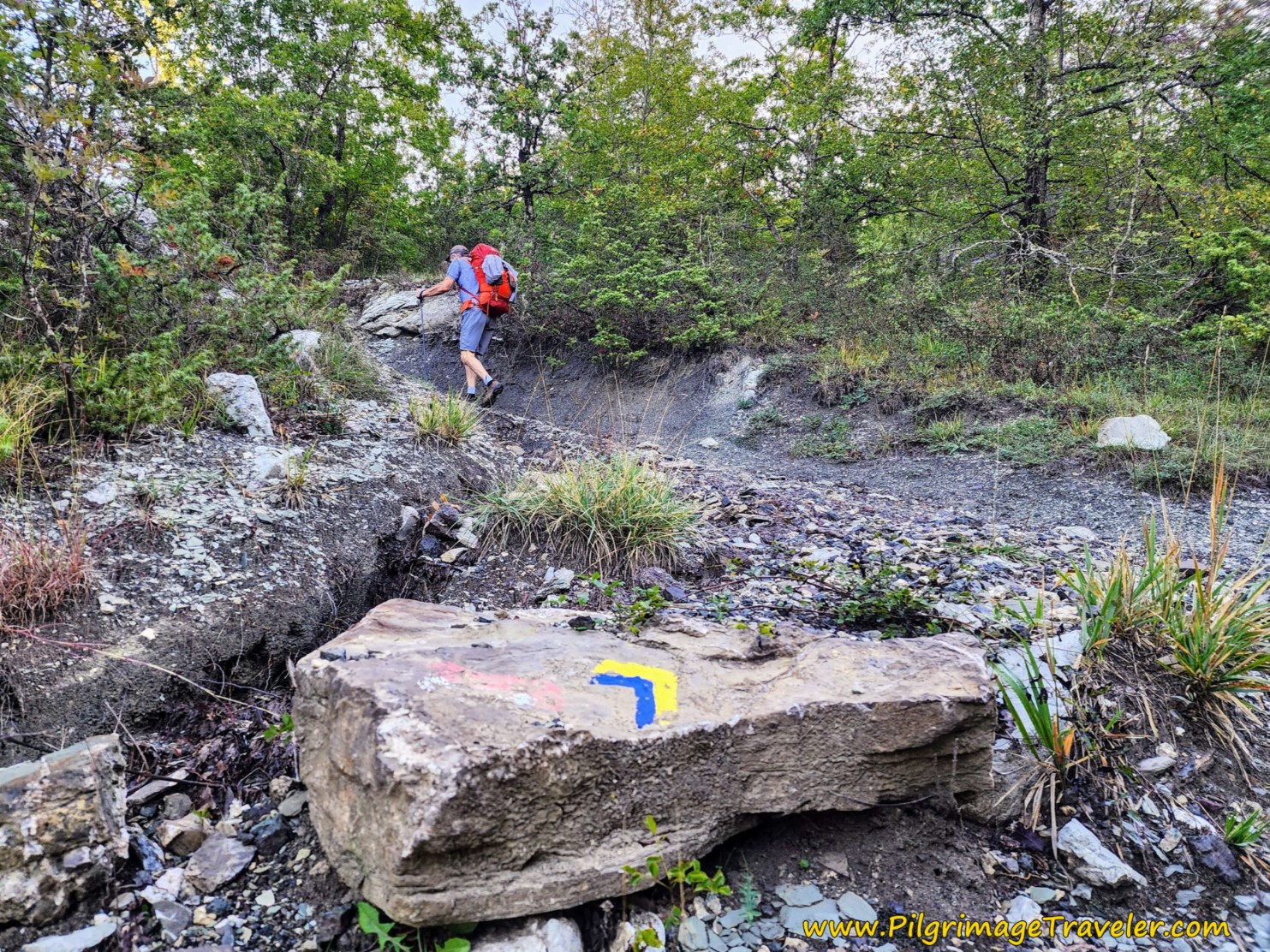 Chevron-Shaped Waymark - Indicates Left Turn