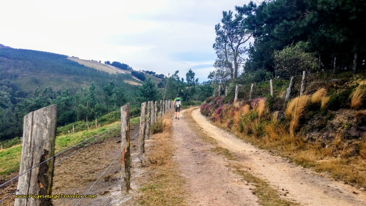 Country Lane Takes Us Higher