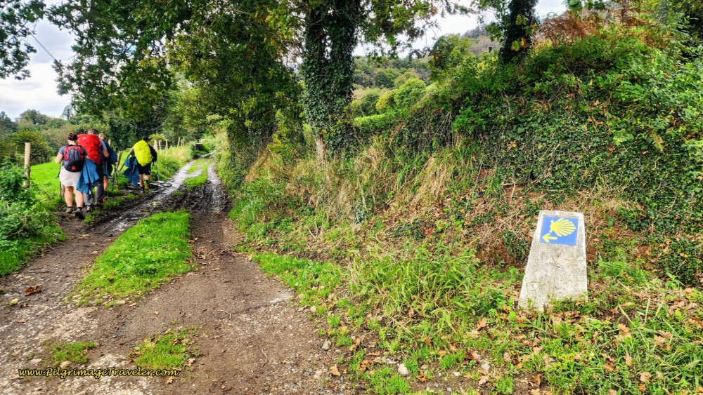 Turn Onto Farmer’s Lane after Pedregal Cross