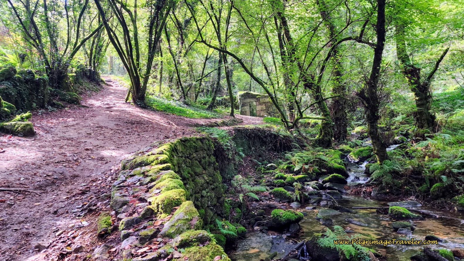 The Verdant Walk Along the Rego da Armenteira, on the Variante Espiritual, Camino Portugués
