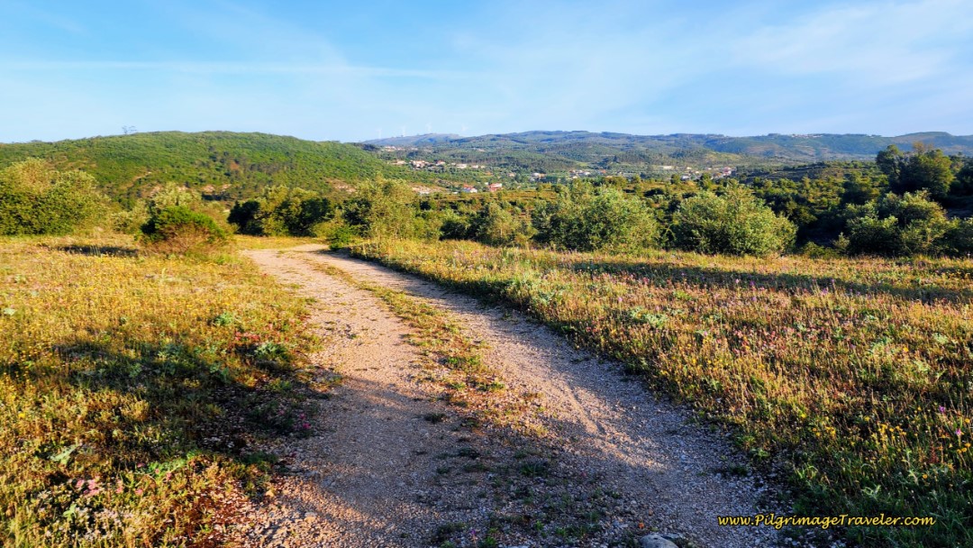 Onward on Lane towards Ribera de Alcalamouque