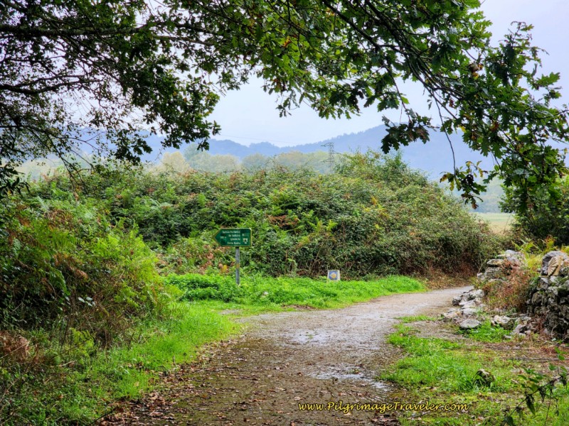 Decision Point - Turn for the Termas Romanas