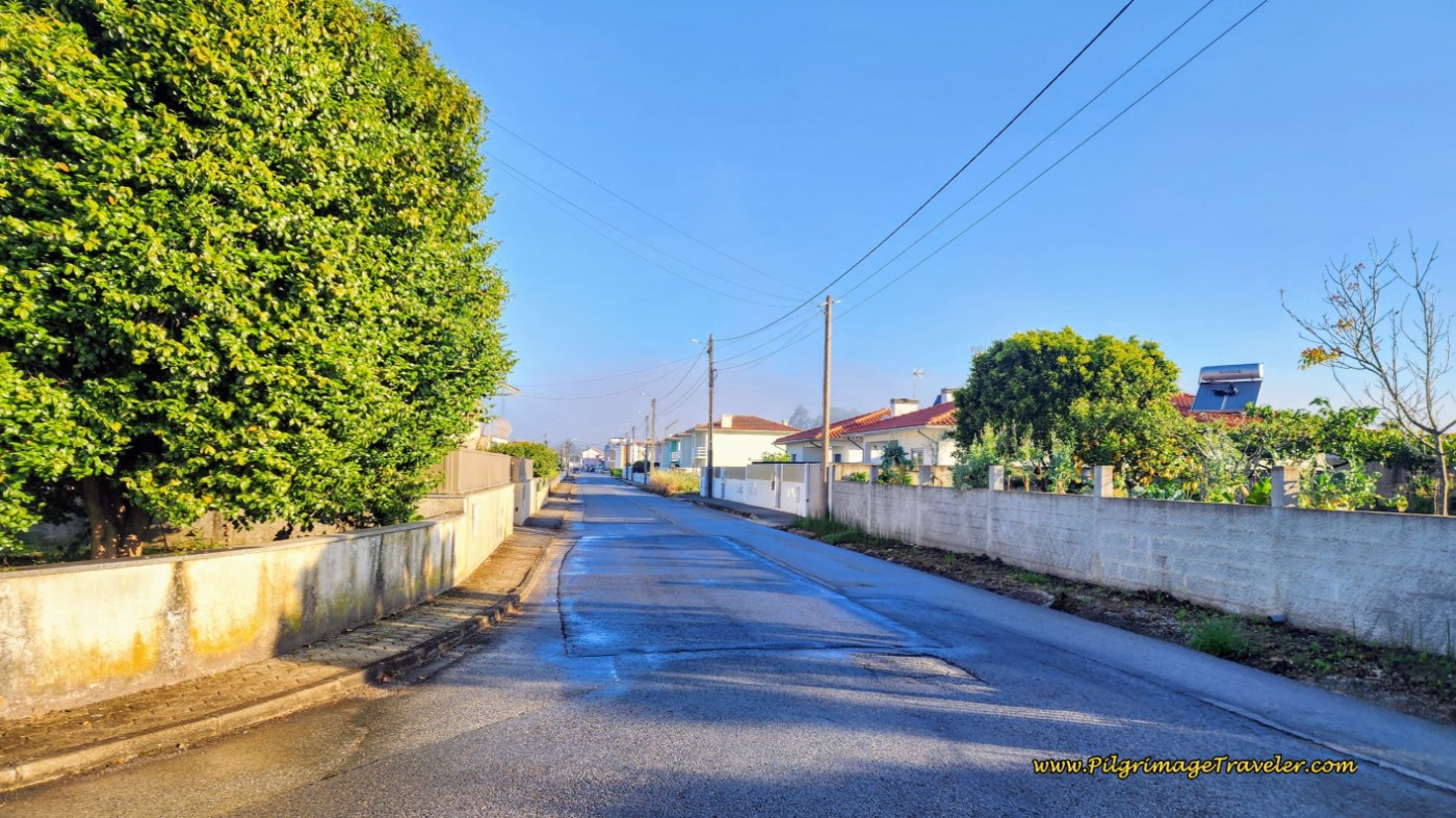 Along the Estrada Pedaçães in the town of Pedaçães