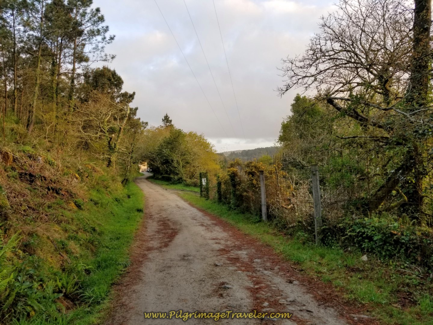 Gentle Climb Towards Logoso