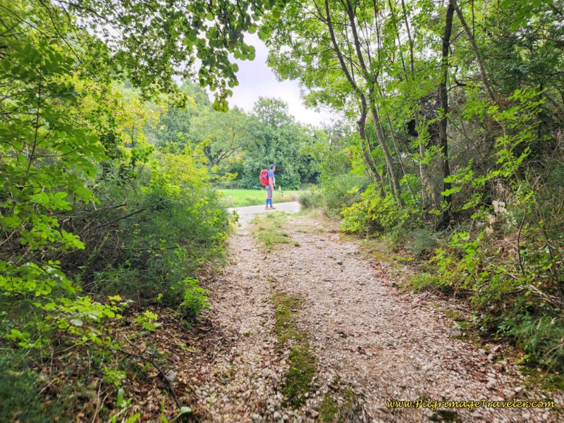 Way of St. Francis: Day Fourteen, Poreta to Spoleto - Meet Paved Road Towards Bazzano Superiore