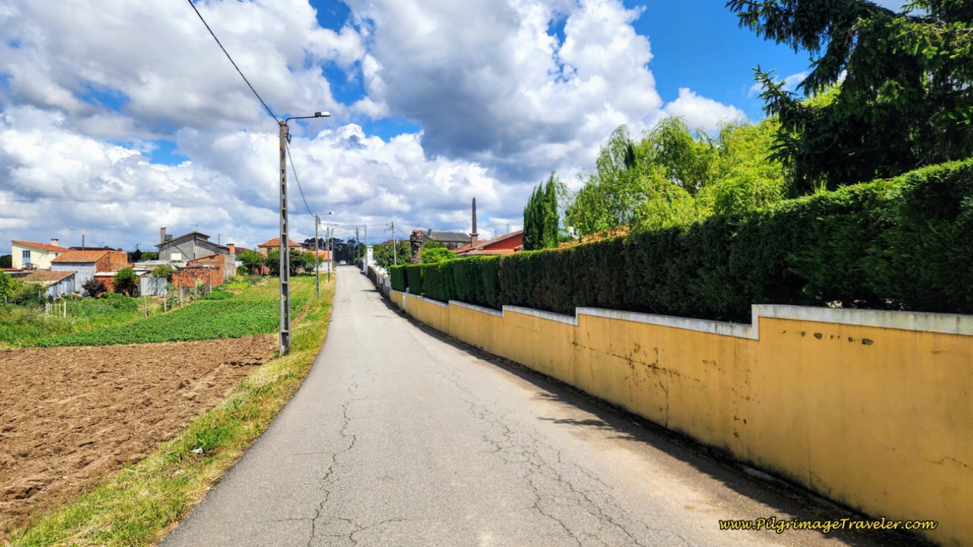 Walk on the CM1453-1