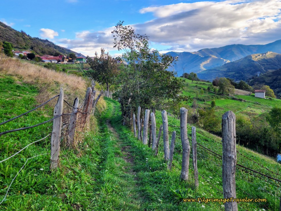 Path in Meadow ~ Llanos de Somerón Ahead