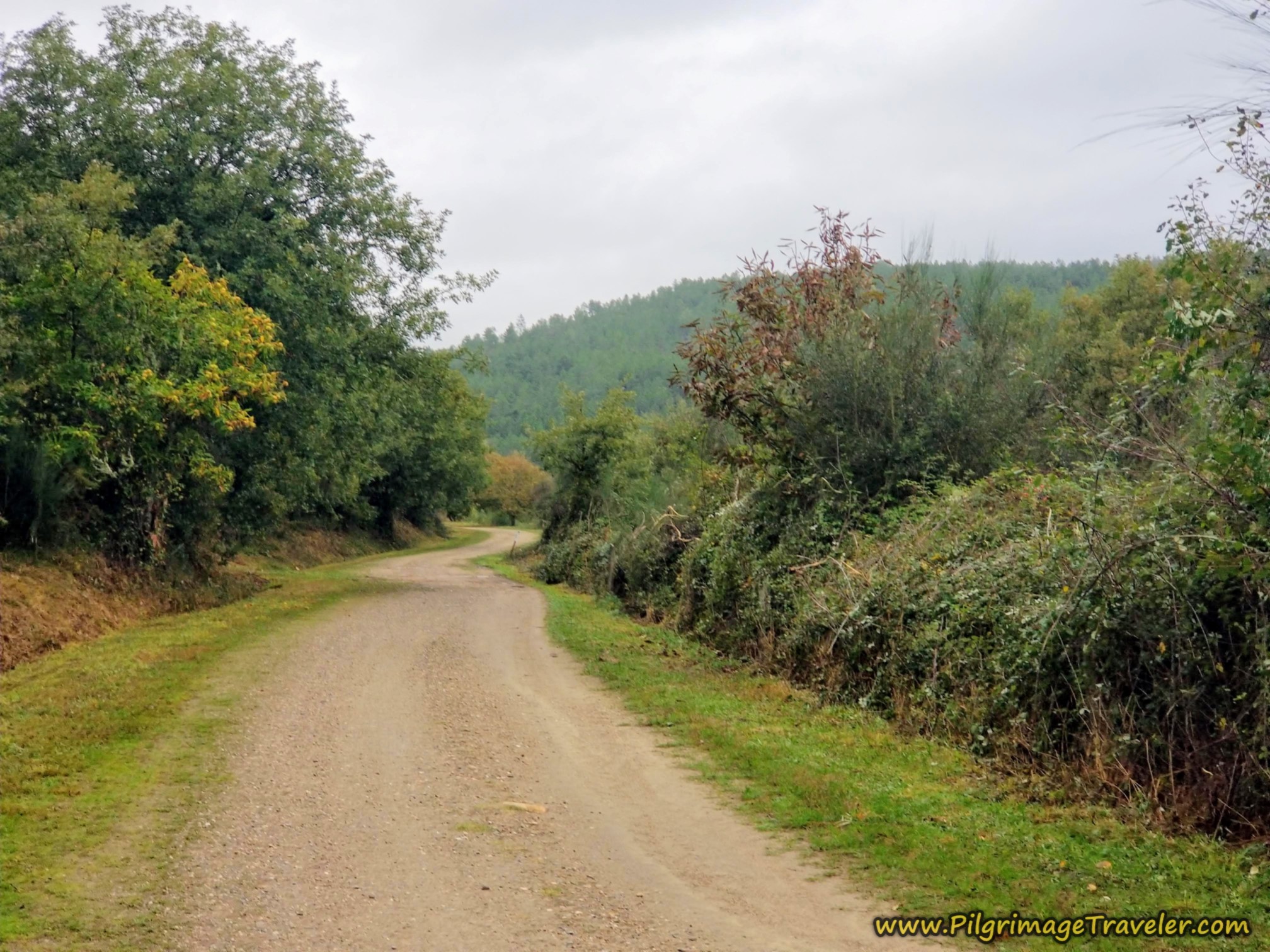 Peaceful Lane On the Way to Tamicelas, Camino Sanabrés,  A Laza to Vilar de Barrio