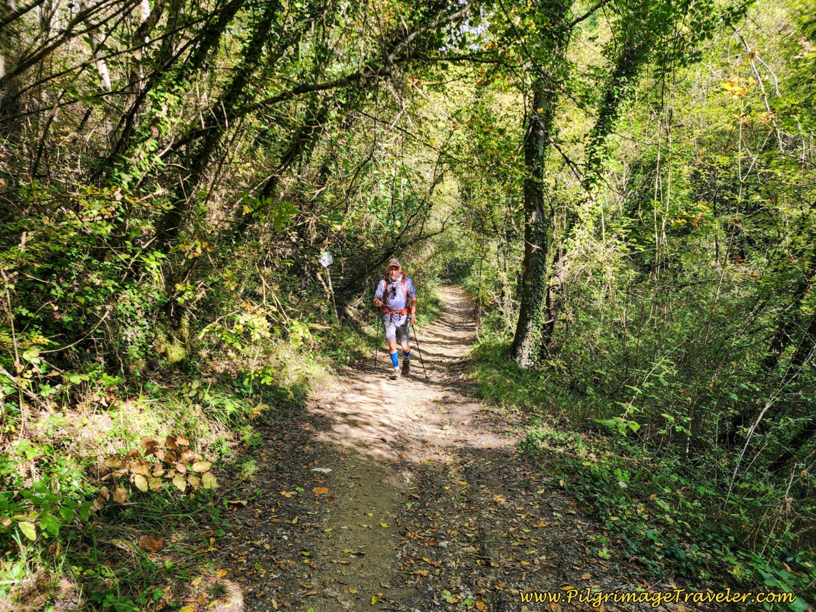 Lane Reduces to a Path Lane Reduces to a Path