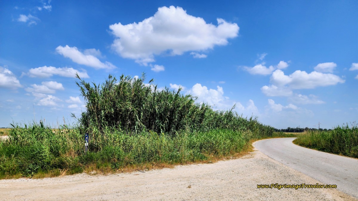 Right Turn to Stay on N3-3