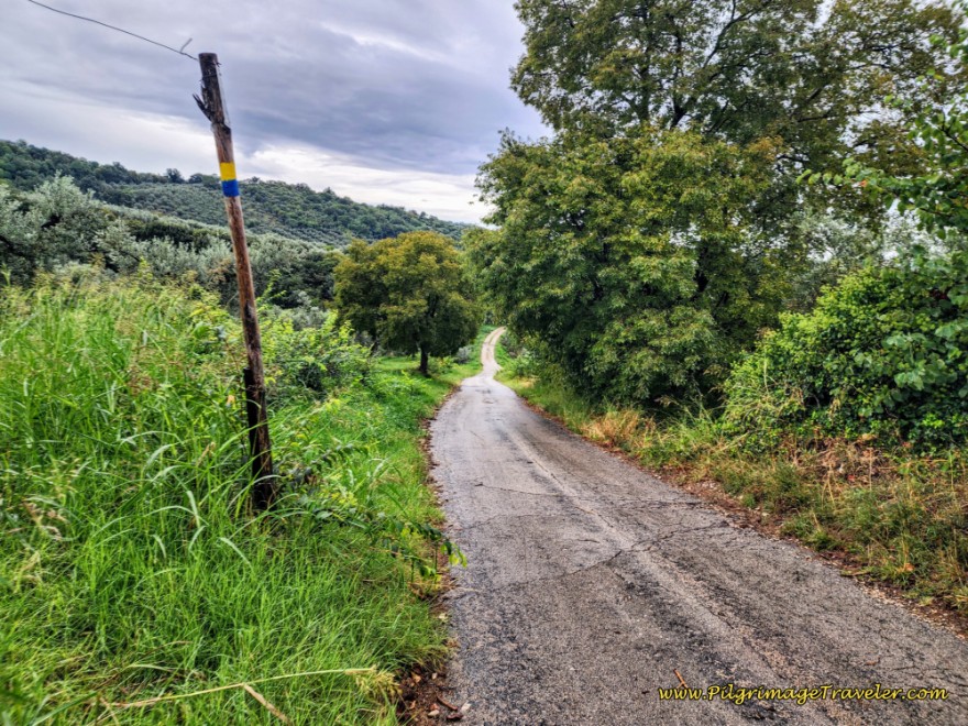 Way of St. Francis: Day Twenty-One, Ponticelli to Monterotondo - Semi-Paved Lane Towards Acquaviva