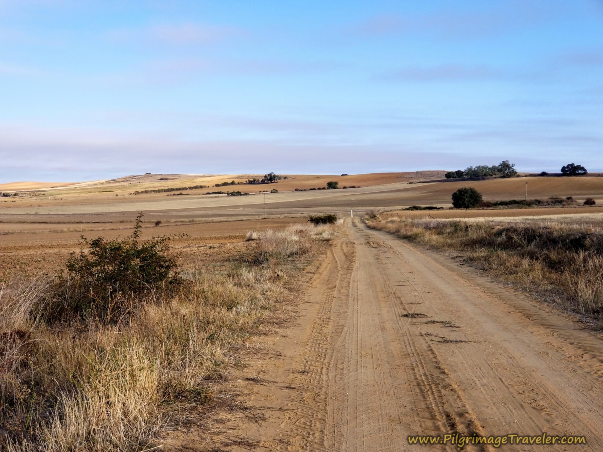 The Barren Road Ahead