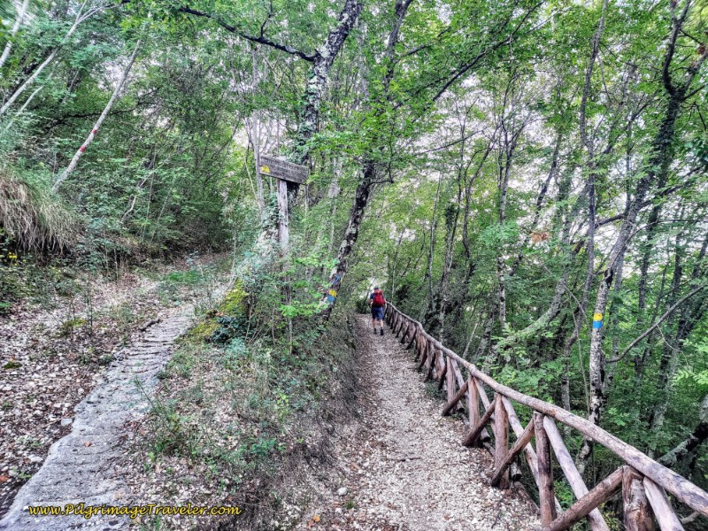 Way of St. Francis: Day Eighteen, Poggio Bustone to Rieti - Trail Splits at Railing