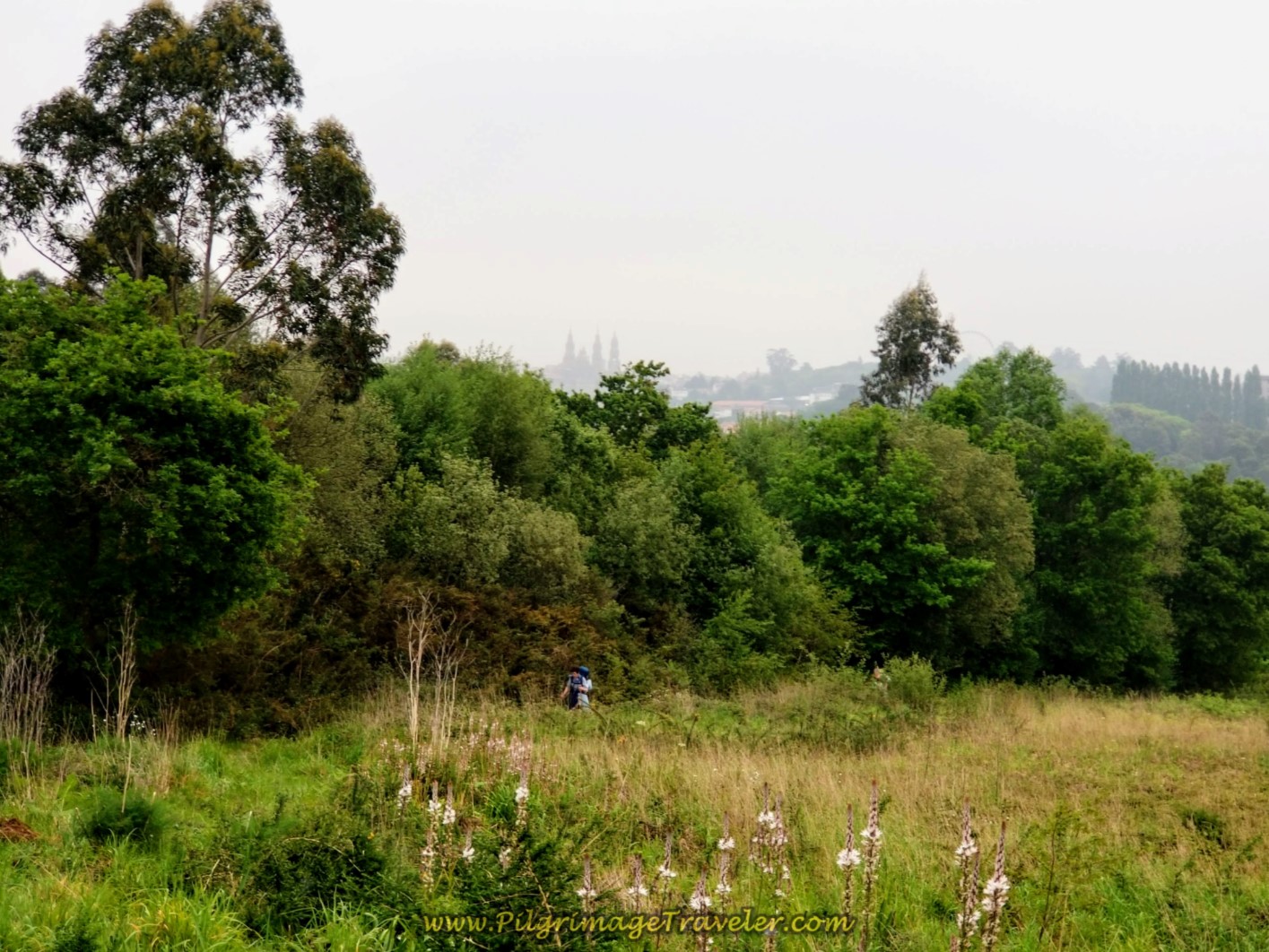 Rear View of the Cathedral in Santiago de Compostela on day one of the Camino Finisterre