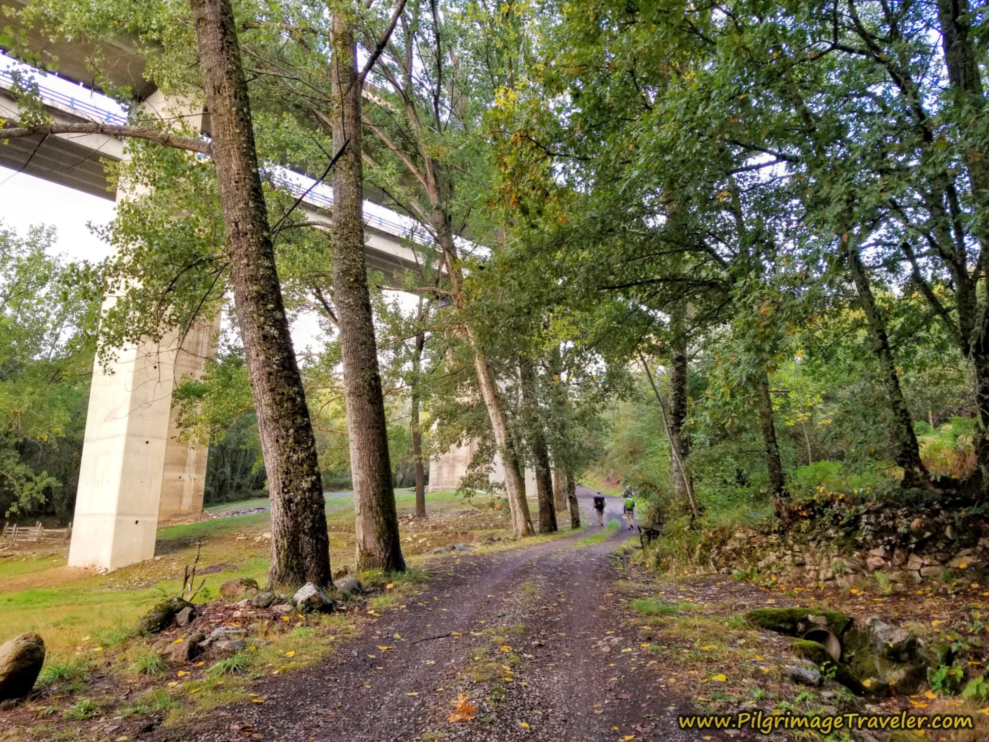 Walking Under the A-52 Viaduct