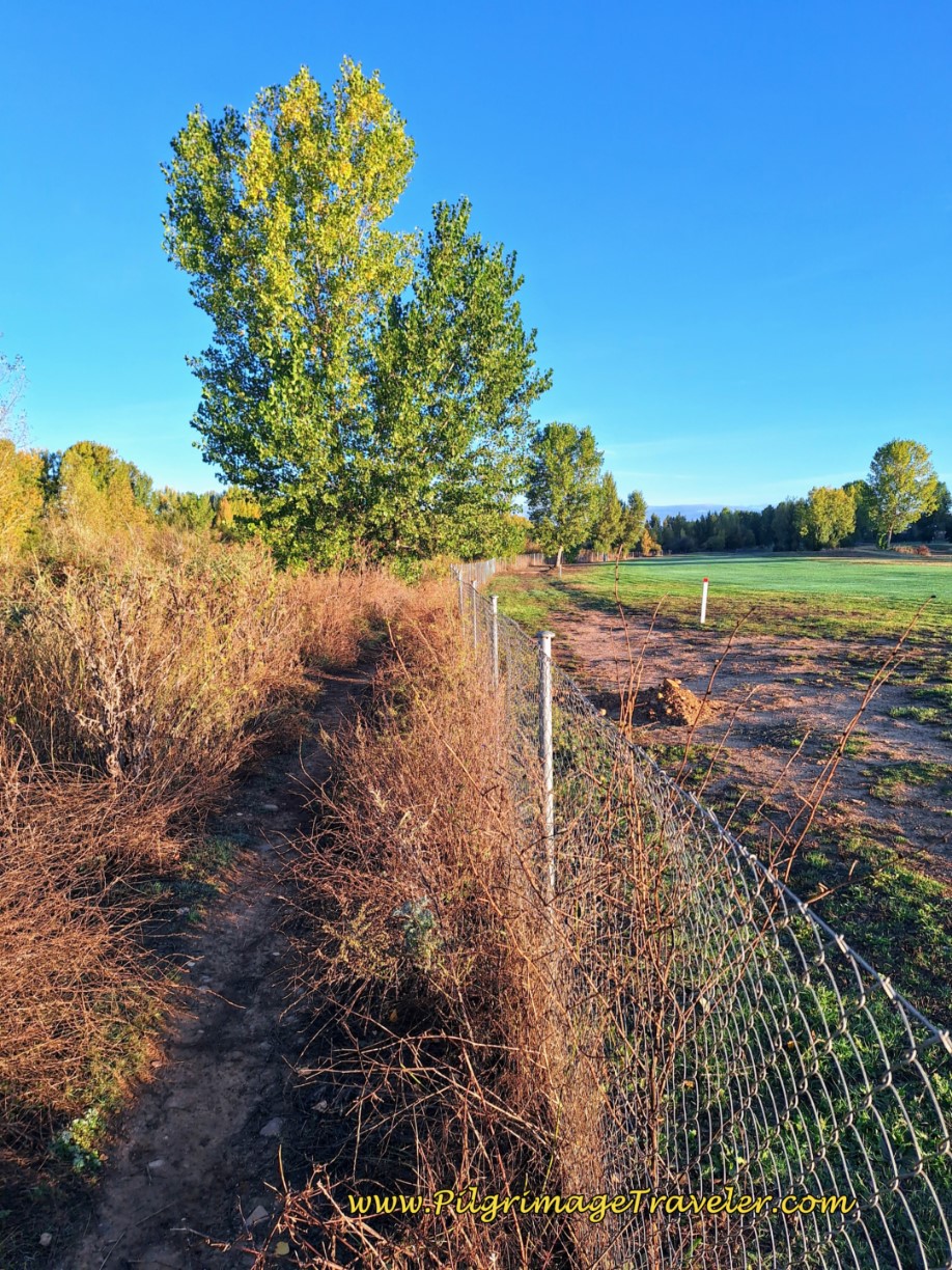 Path Follows the Fence Line Along the Golf Course