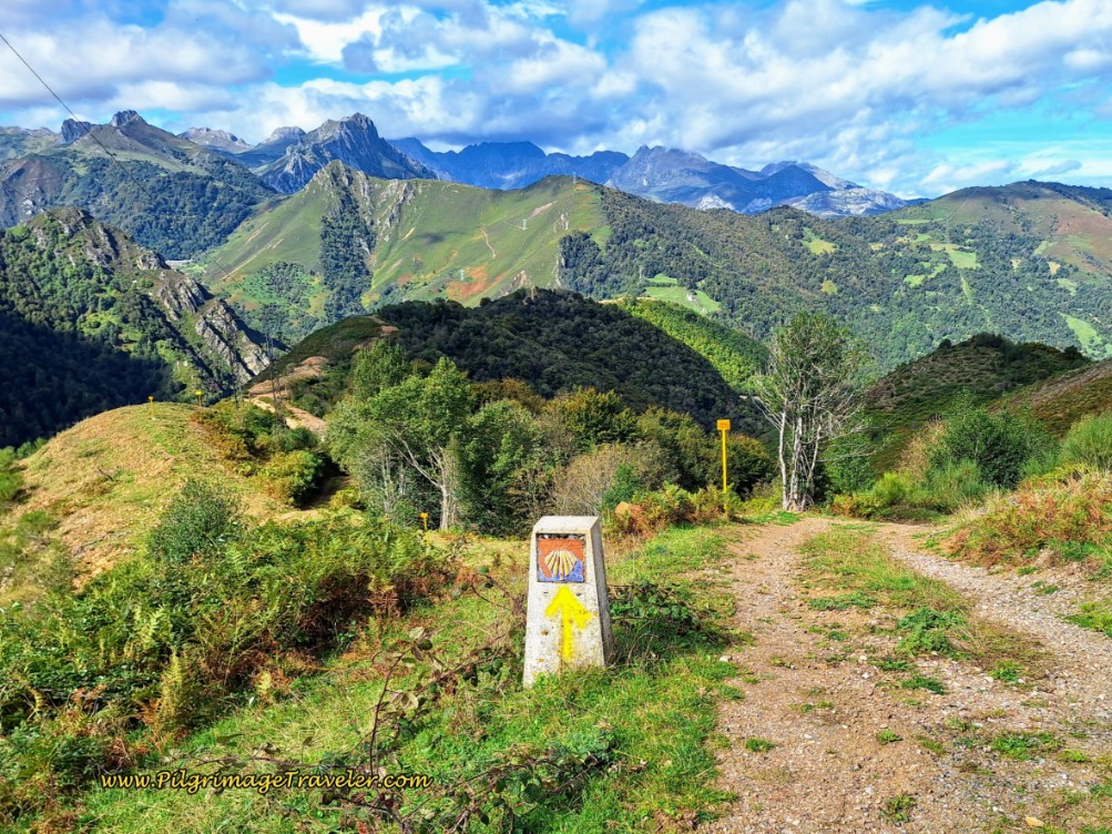 Asturian Shell Waymark 