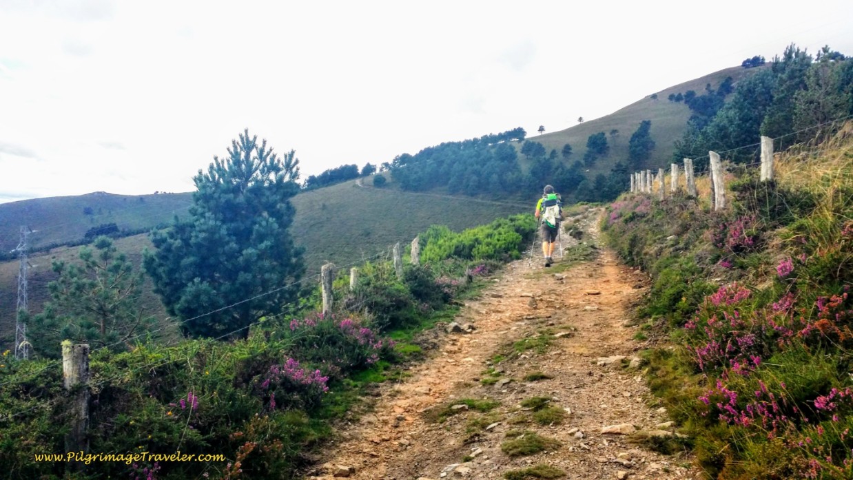 The Way Keeps Climbing on Day Five