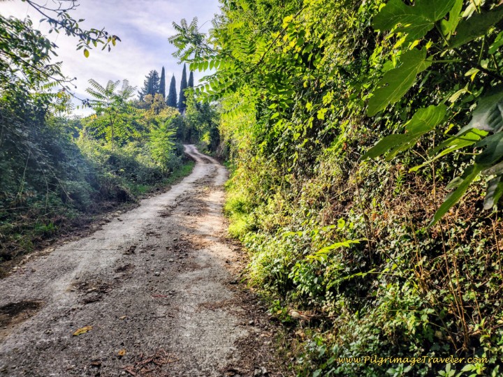 Way of St. Francis: Day Twenty, Poggio San Lorenzo to Ponticelli - Monteleone Sabino Cemetery Ahead