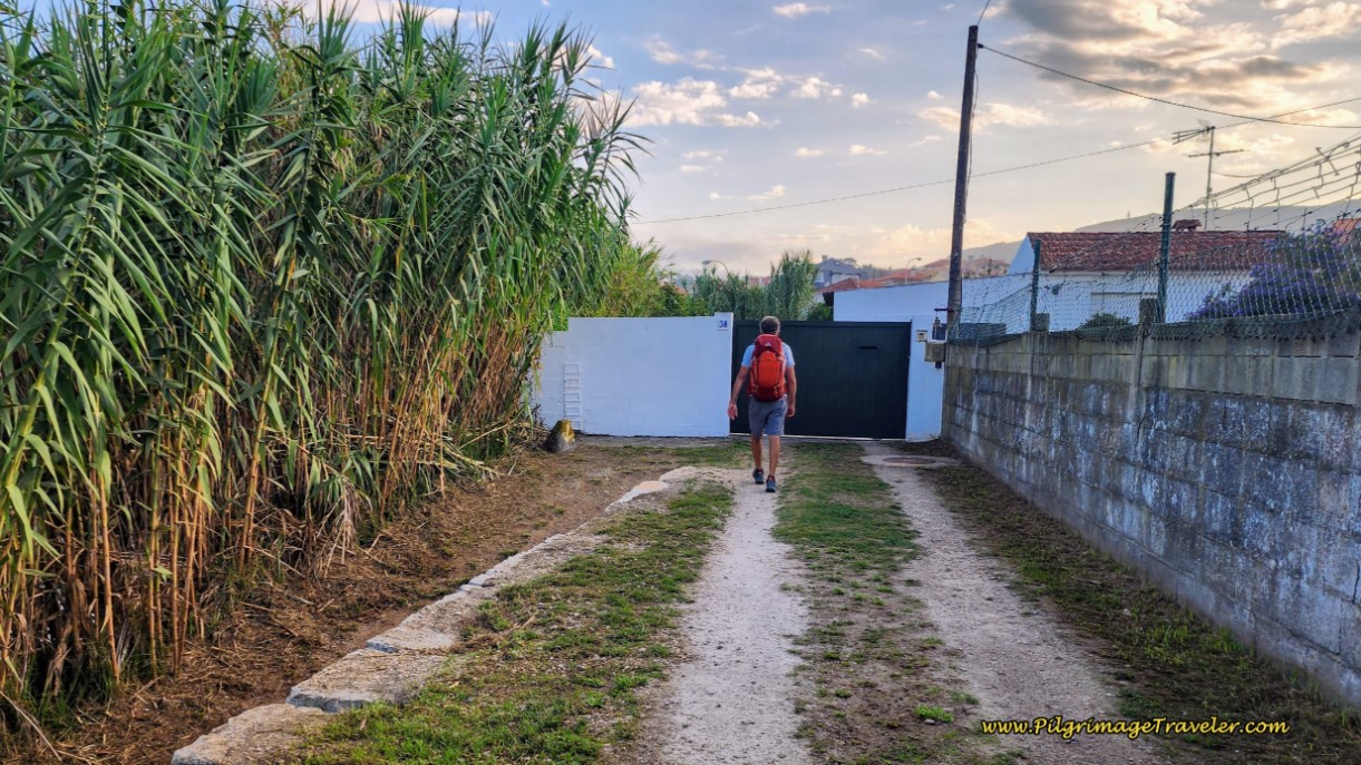 Paseo da Areosa Ends at Wall Paseo da Areosa Ends at Wall