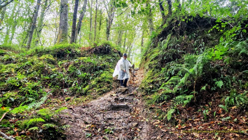 Steep, Slick Climb up from the River