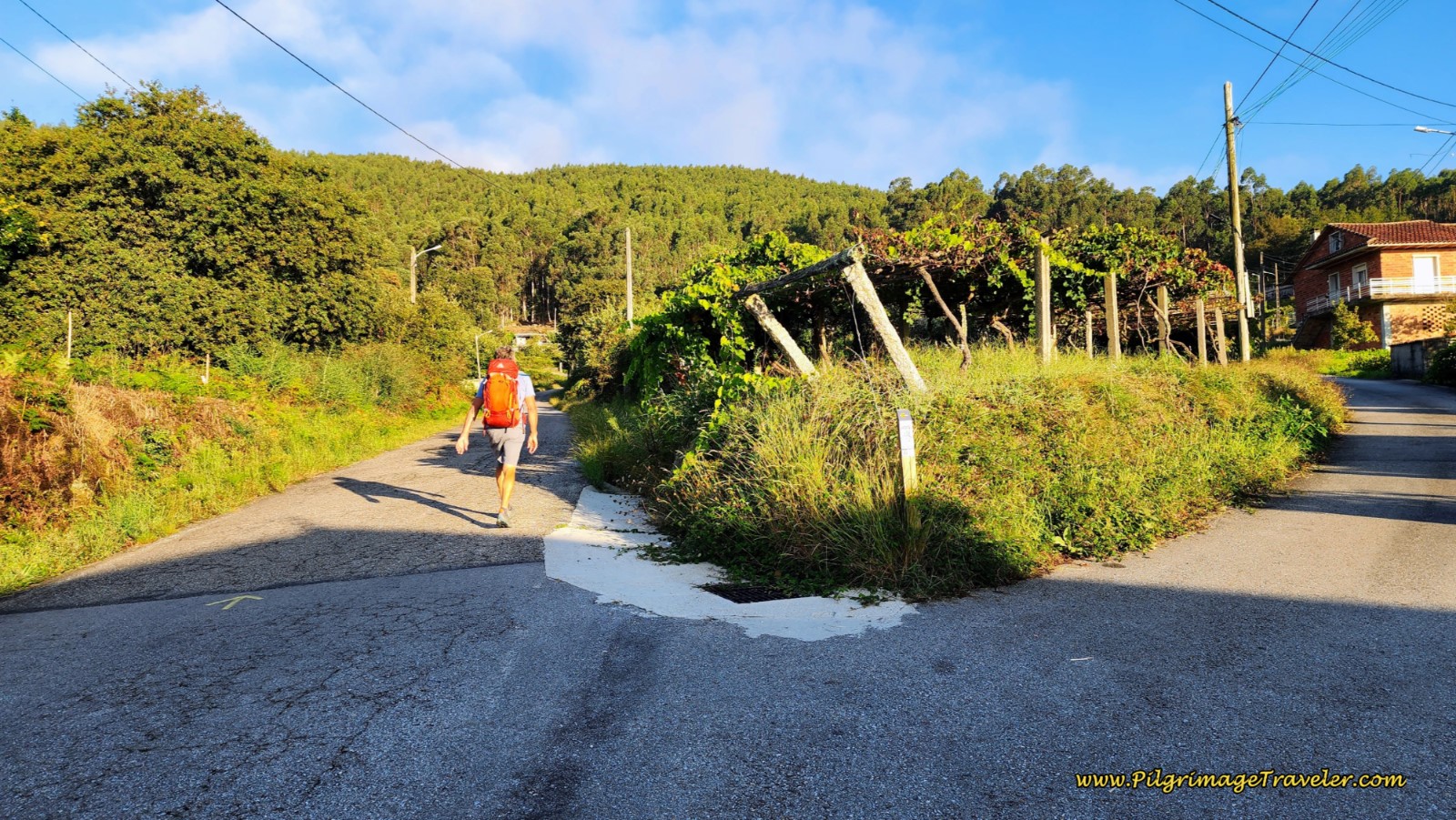 After Armada, Stay Left at Y-Intersection