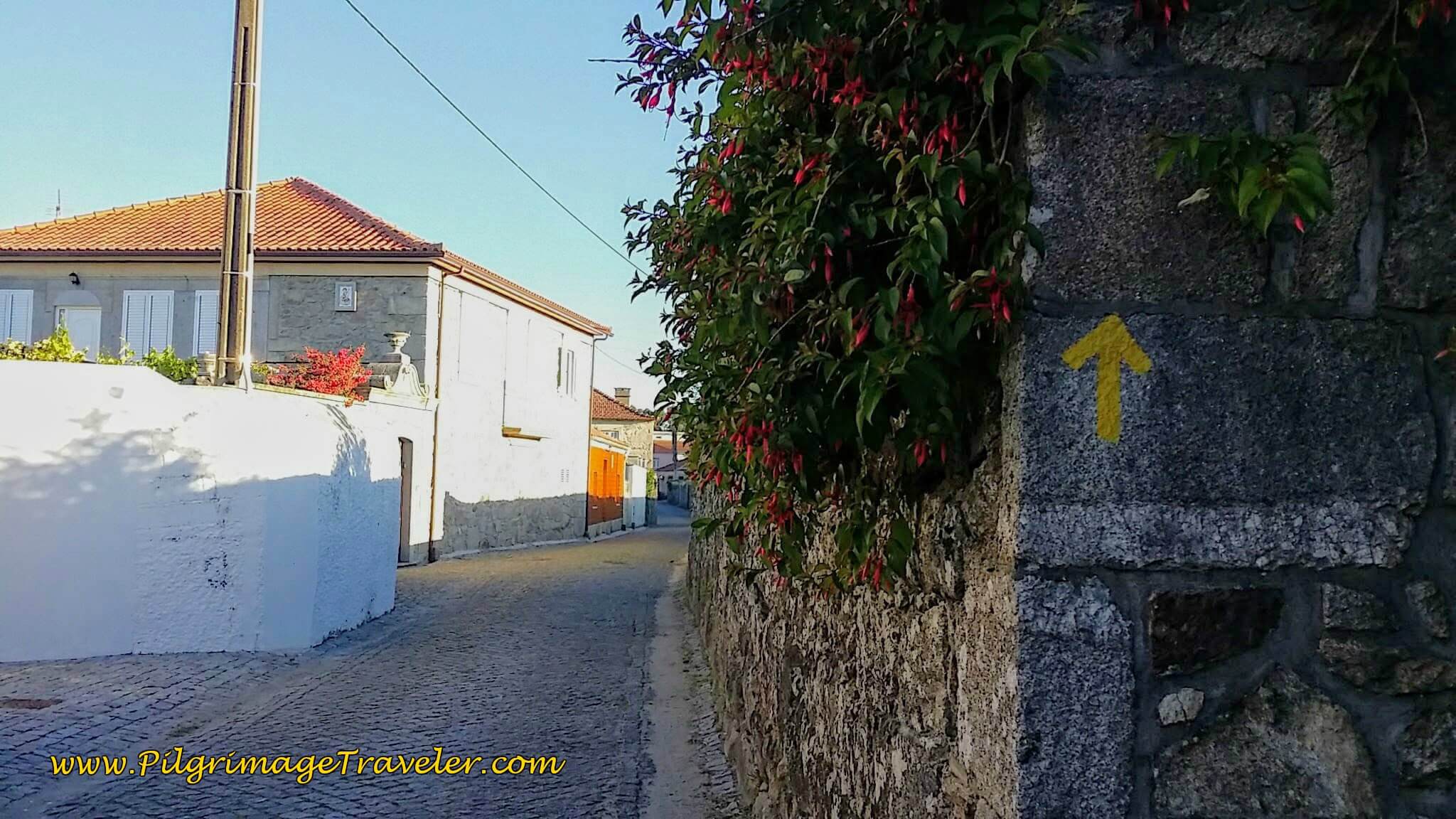 Yellow Arrow Along the Rua de São João on day seventeen of the Camino Portugués