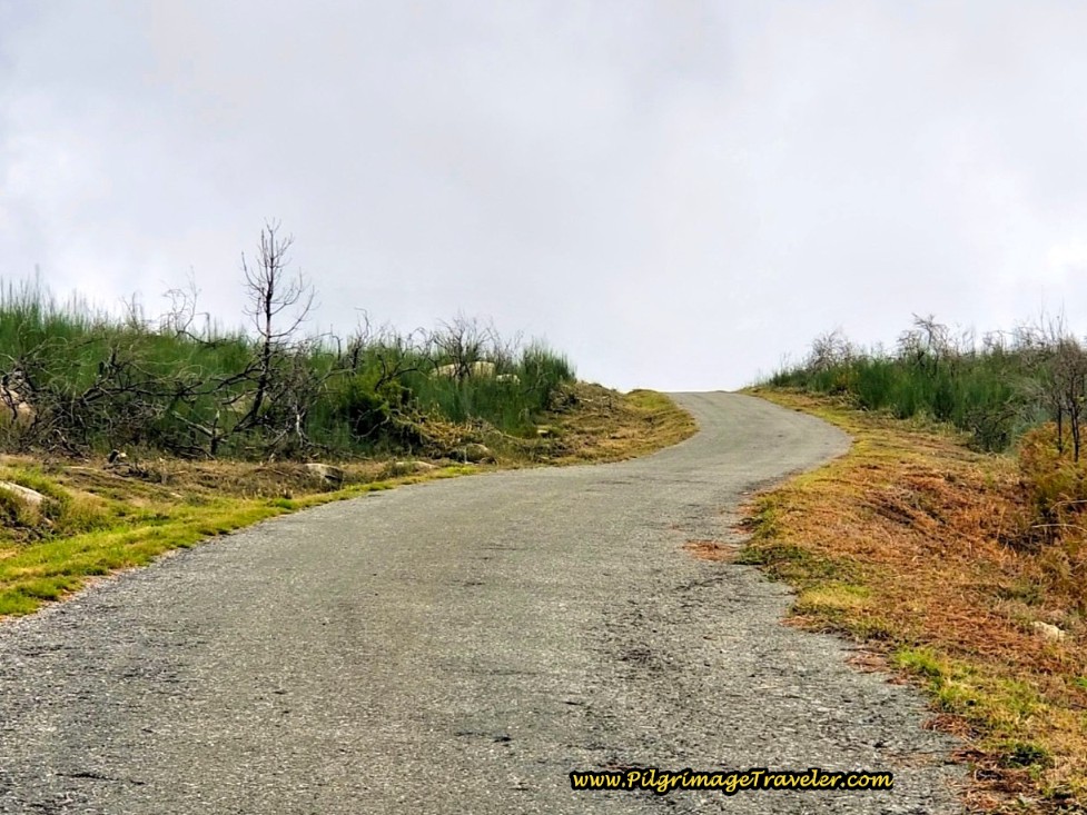 Climb Up and Out of Silvaboa Climb Up on Roadway