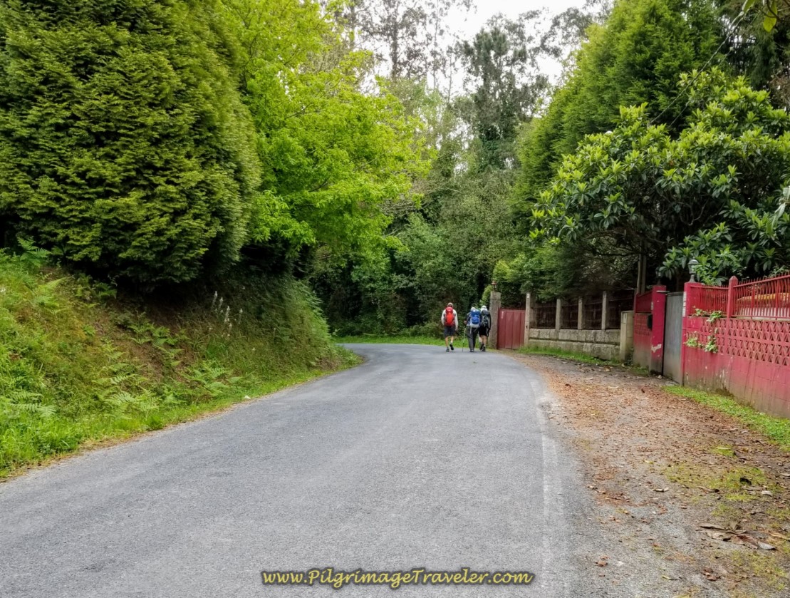 Continue on the DP-4804 on day four of the Camino Inglés