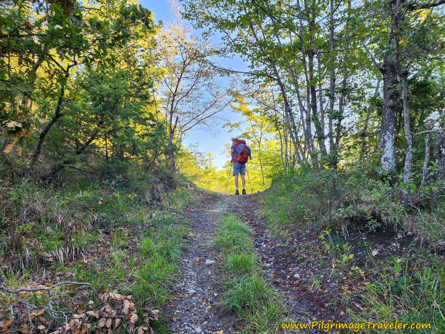 First Small Summit Top