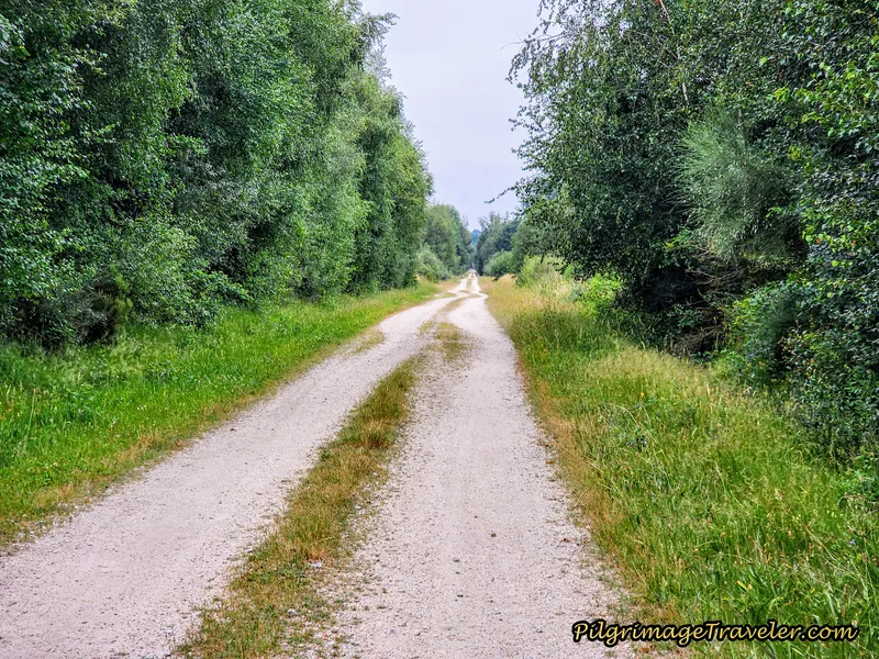 The Forever Farm Lane