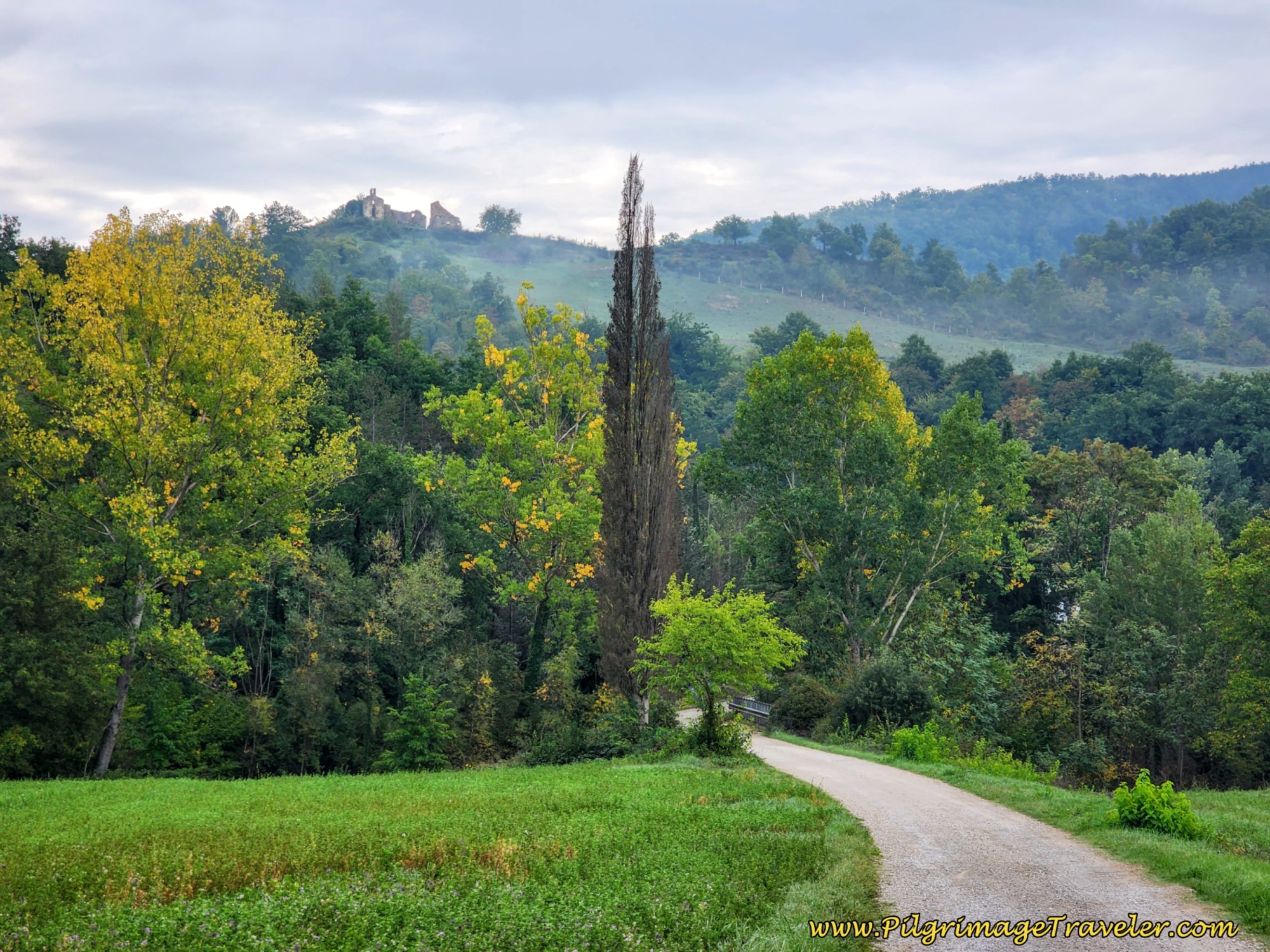 Leave the SP106 on this Lane