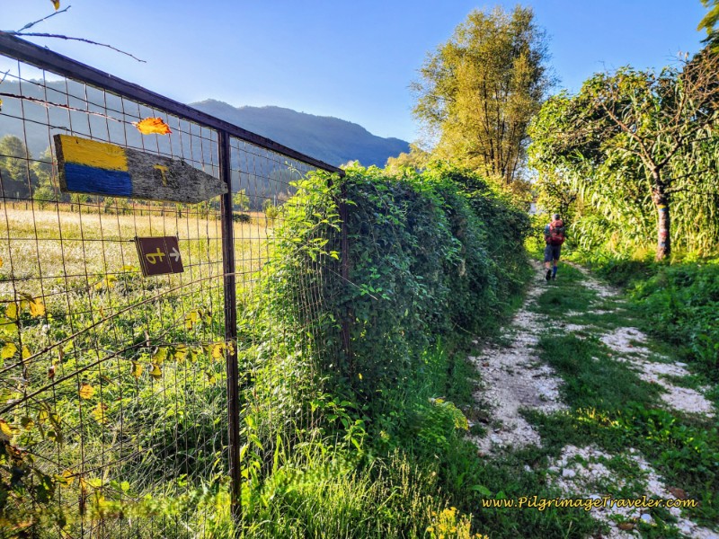 Way of St. Francis: Day Nineteen, Rieti to Poggio San Lorenzo - Leave the SS4bis on a Lane to the Left