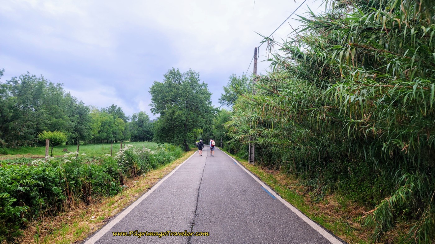 Left Onto the Rua da Espertina, Day Ten, Camino Portugués